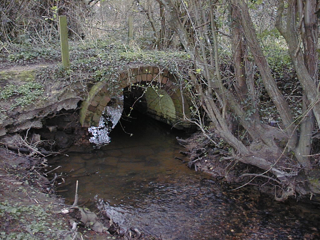 Decaying bridge